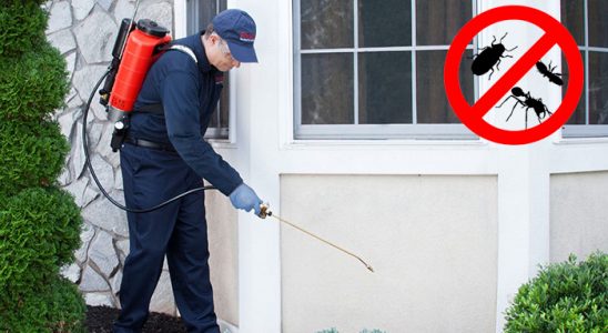 Mut Böcek ve Haşere İlaçlama böcek ilaçlama ve haşere kontrolü — ilaclama-tr.com